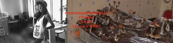 тгк Богородск