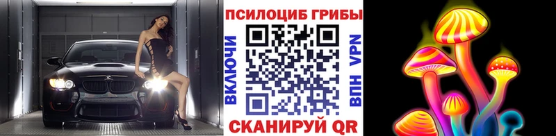 купить наркотики цена  Кемерово  blacksprut зеркало  Псилоцибиновые грибы MAGIC MUSHROOMS 